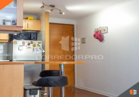 Ñuñoa, Región Metropolitana, 1 Dormitorio Habitaciones, ,1 BañoBathrooms,Departamento,En Venta,1969