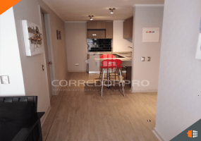 Santiago, Región Metropolitana, 1 Dormitorio Habitaciones, ,1 BañoBathrooms,Departamento,En Venta,1994