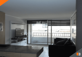 Santiago, Región Metropolitana, 1 Dormitorio Habitaciones, ,1 BañoBathrooms,Departamento,En Venta,1997
