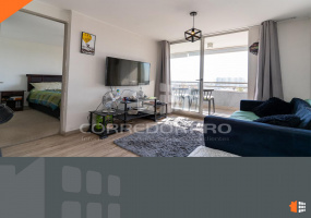 La Florida, Región Metropolitana, 2 Habitaciones Habitaciones, ,2 BathroomsBathrooms,Departamento,En Venta,2017