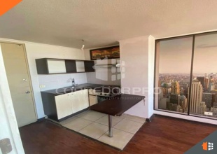 Santiago, Región Metropolitana, 1 Dormitorio Habitaciones, ,1 BañoBathrooms,Departamento,En Venta,2043