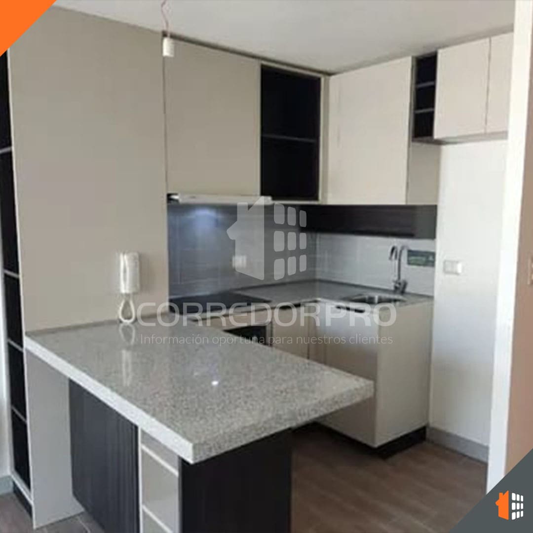 Santiago, Región Metropolitana, 1 Dormitorio Habitaciones, ,1 BañoBathrooms,Departamento,En Venta,2044