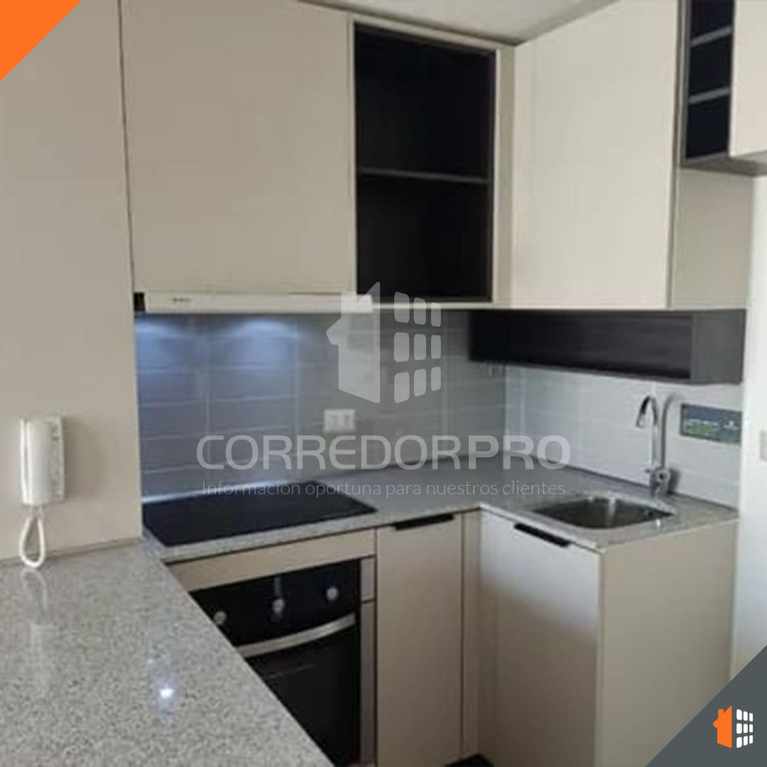 Santiago, Región Metropolitana, 1 Dormitorio Habitaciones, ,1 BañoBathrooms,Departamento,En Venta,2044