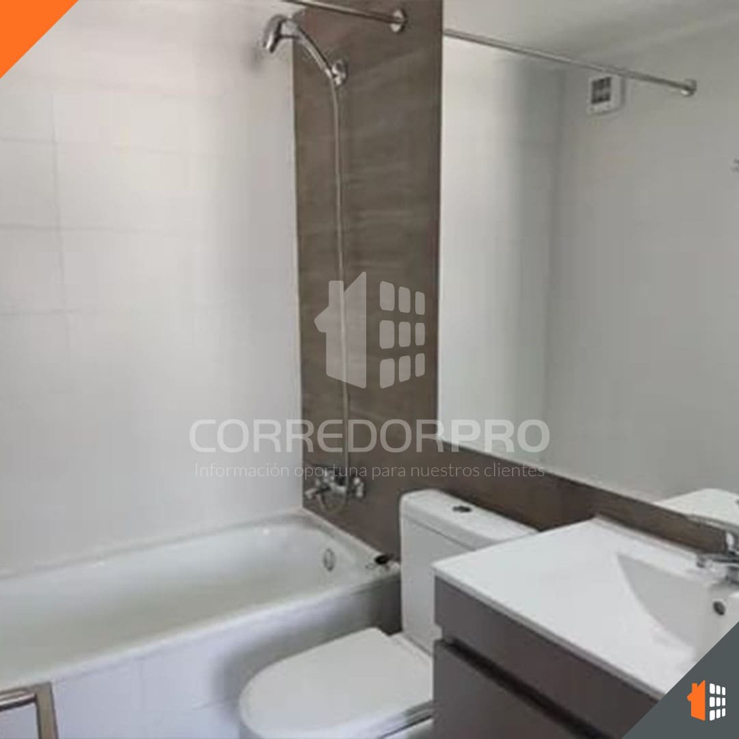 Santiago, Región Metropolitana, 1 Dormitorio Habitaciones, ,1 BañoBathrooms,Departamento,En Venta,2044