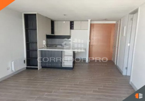 Santiago, Región Metropolitana, 1 Dormitorio Habitaciones, ,1 BañoBathrooms,Departamento,En Venta,2044