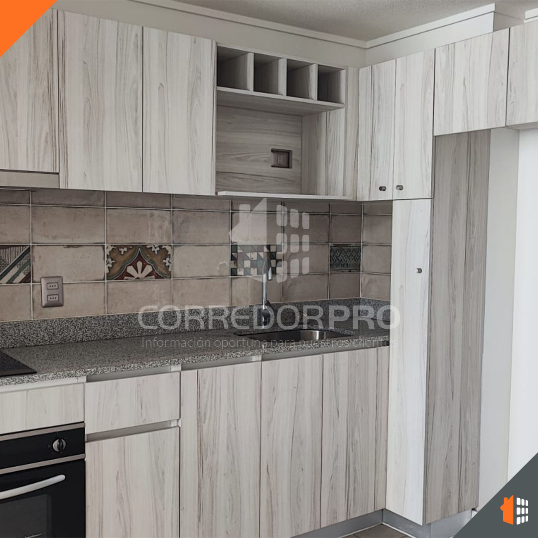 Santiago, Región Metropolitana, 1 Dormitorio Habitaciones, ,1 BañoBathrooms,Departamento,En Venta,2093