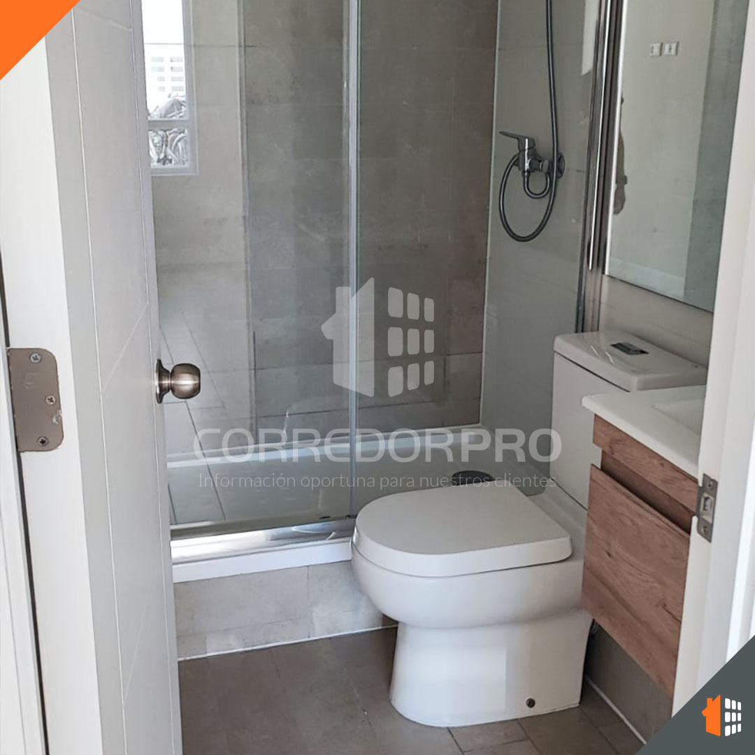 Santiago, Región Metropolitana, 1 Dormitorio Habitaciones, ,1 BañoBathrooms,Departamento,En Venta,2093