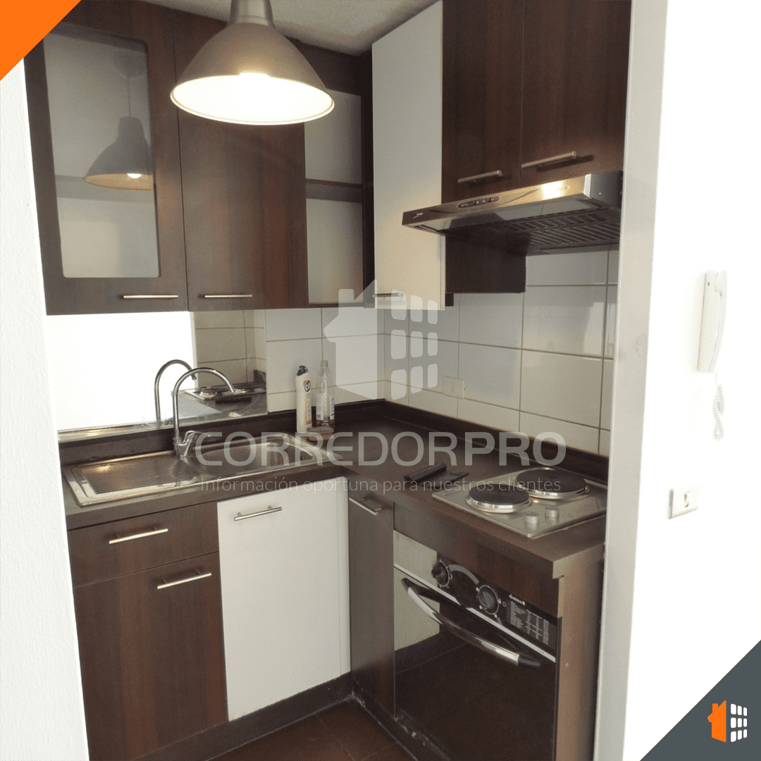 Santiago, Región Metropolitana, 1 Dormitorio Habitaciones, ,1 BañoBathrooms,Departamento,Arrendada,2095