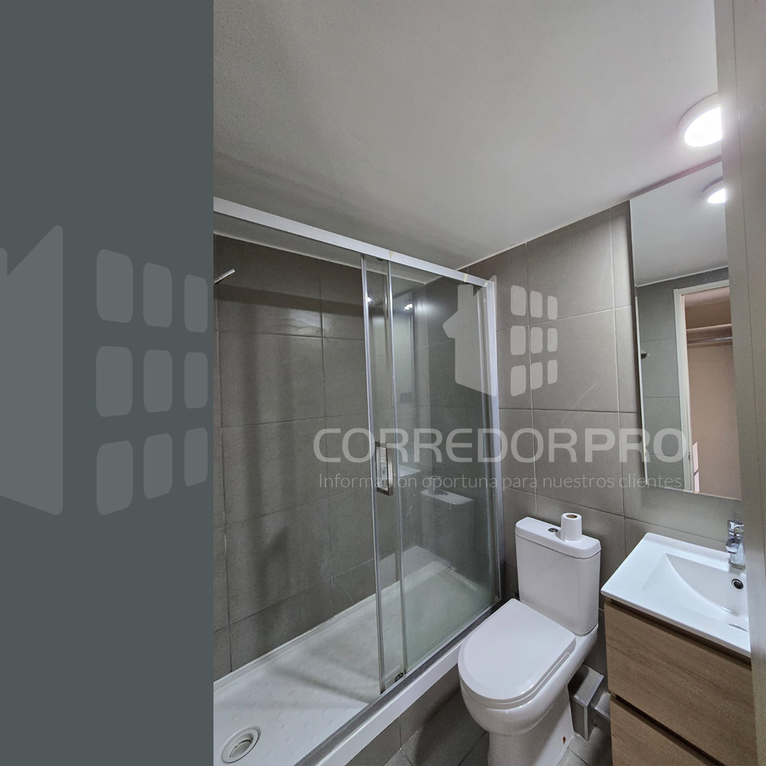Santiago, Región Metropolitana, 1 Dormitorio Habitaciones, ,1 BañoBathrooms,Departamento,Vendida,2103