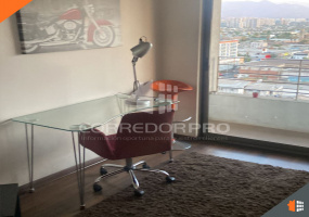 Santiago, Región Metropolitana, 1 Dormitorio Habitaciones, ,1 BañoBathrooms,Departamento,En Venta,2111