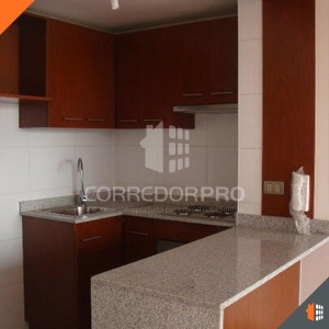 Santiago, Región Metropolitana, 1 Dormitorio Habitaciones, ,1 BañoBathrooms,Departamento,En Venta,2161