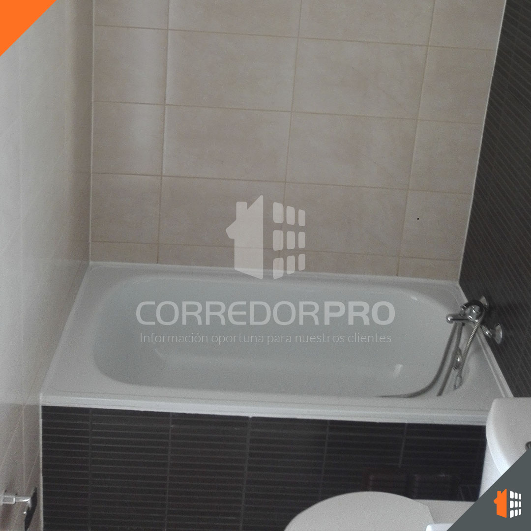 Santiago, Región Metropolitana, 1 Dormitorio Habitaciones, ,1 BañoBathrooms,Departamento,En Venta,2183