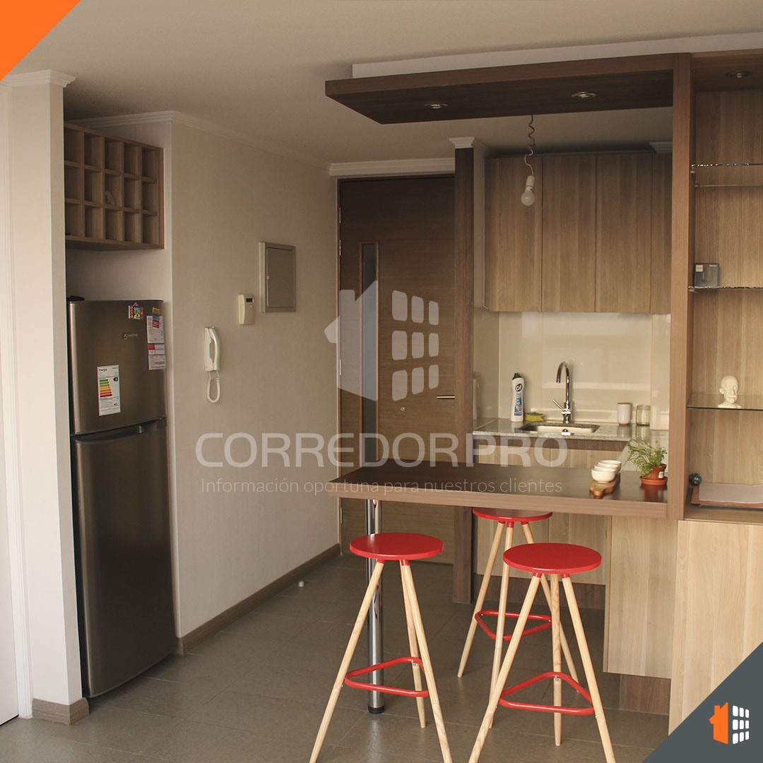 Santiago, Región Metropolitana, 1 Dormitorio Habitaciones, ,1 BañoBathrooms,Departamento,En Venta,2183