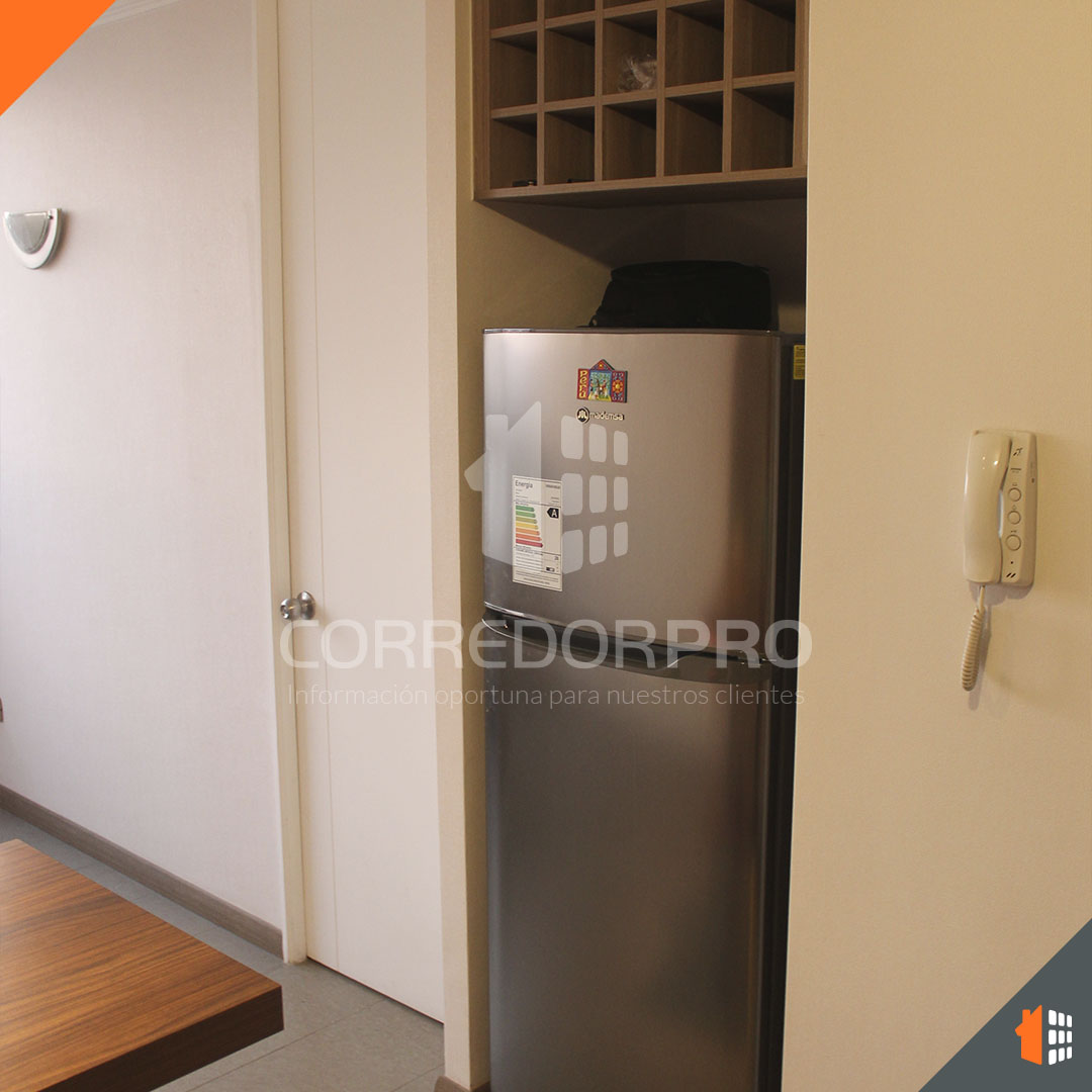 Santiago, Región Metropolitana, 1 Dormitorio Habitaciones, ,1 BañoBathrooms,Departamento,En Venta,2183