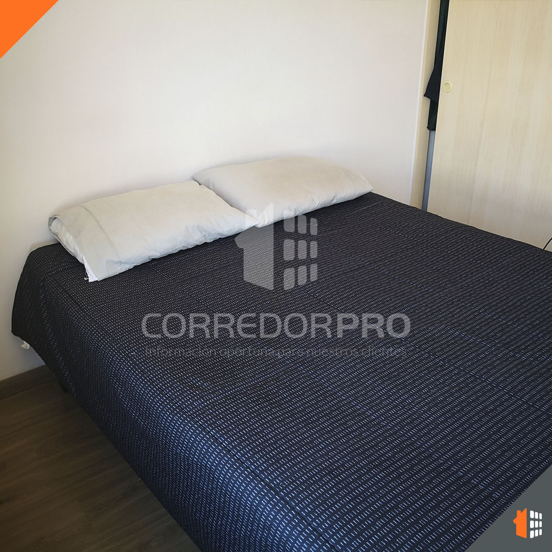 Santiago, Región Metropolitana, 1 Dormitorio Habitaciones, ,1 BañoBathrooms,Departamento,En Venta,2183