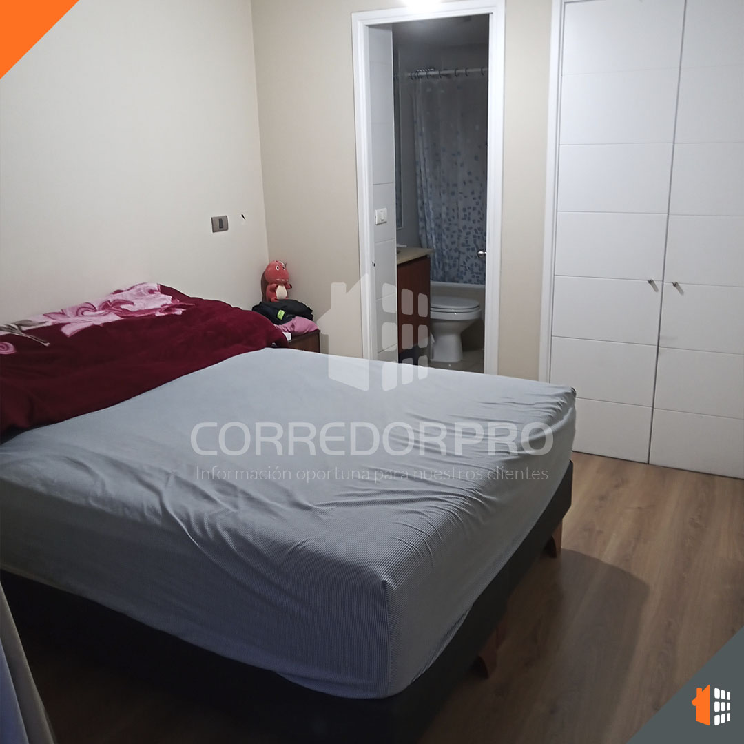 Santiago, Región Metropolitana, 1 Dormitorio Habitaciones, ,1 BañoBathrooms,Departamento,En Venta,2185