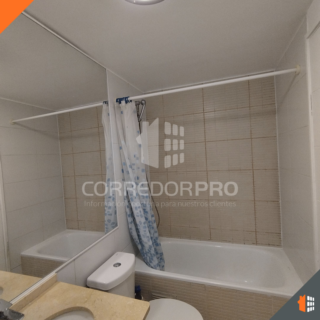 Santiago, Región Metropolitana, 1 Dormitorio Habitaciones, ,1 BañoBathrooms,Departamento,En Venta,2185