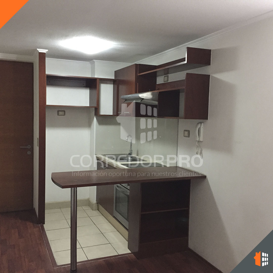 Santiago, Región Metropolitana, 1 Dormitorio Habitaciones, ,1 BañoBathrooms,Departamento,En Venta,2216