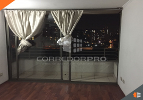 Santiago, Región Metropolitana, 1 Dormitorio Habitaciones, ,1 BañoBathrooms,Departamento,En Venta,2216