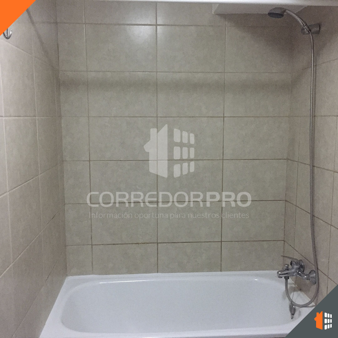 Santiago, Región Metropolitana, 1 Dormitorio Habitaciones, ,1 BañoBathrooms,Departamento,En Venta,2228