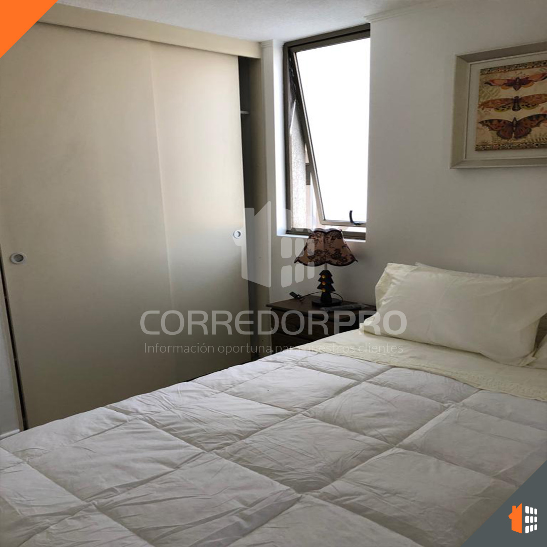 Santiago, Región Metropolitana, 1 Dormitorio Habitaciones, ,1 BañoBathrooms,Departamento,En Arriendo,2230