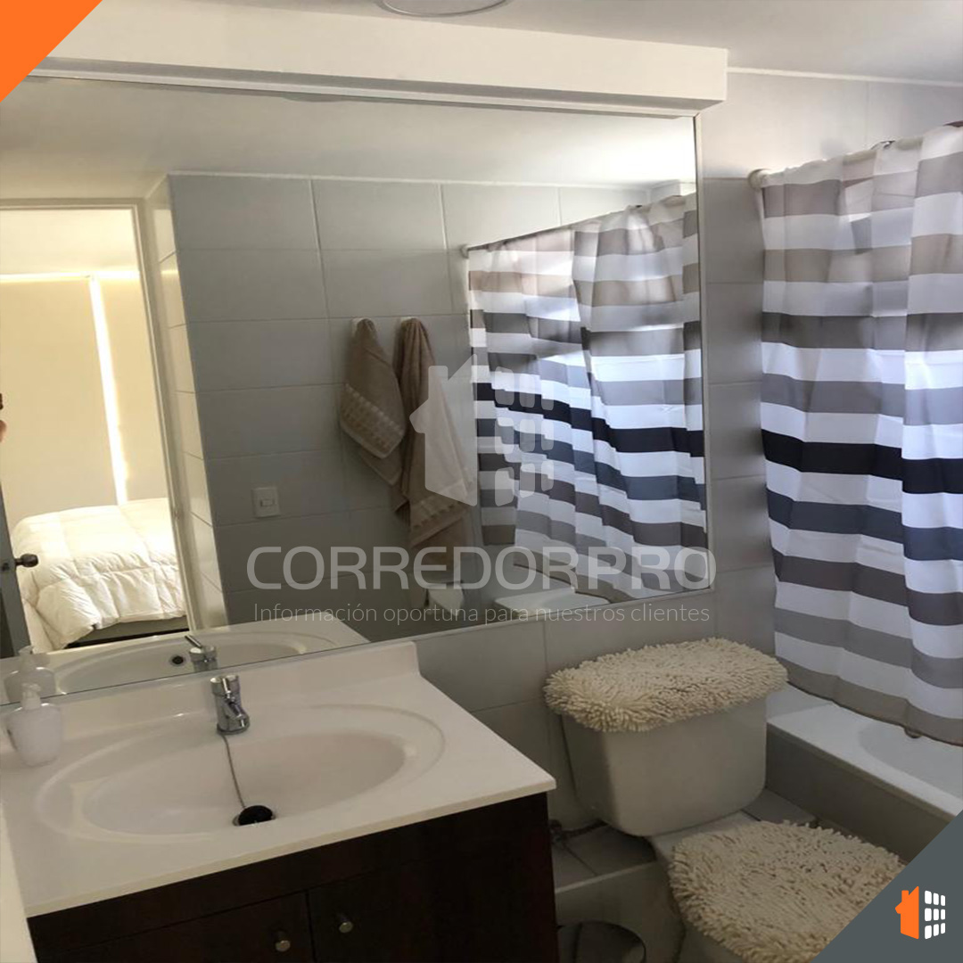 Santiago, Región Metropolitana, 1 Dormitorio Habitaciones, ,1 BañoBathrooms,Departamento,En Arriendo,2230