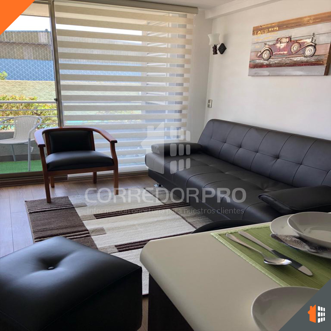 Santiago, Región Metropolitana, 1 Dormitorio Habitaciones, ,1 BañoBathrooms,Departamento,En Arriendo,2230