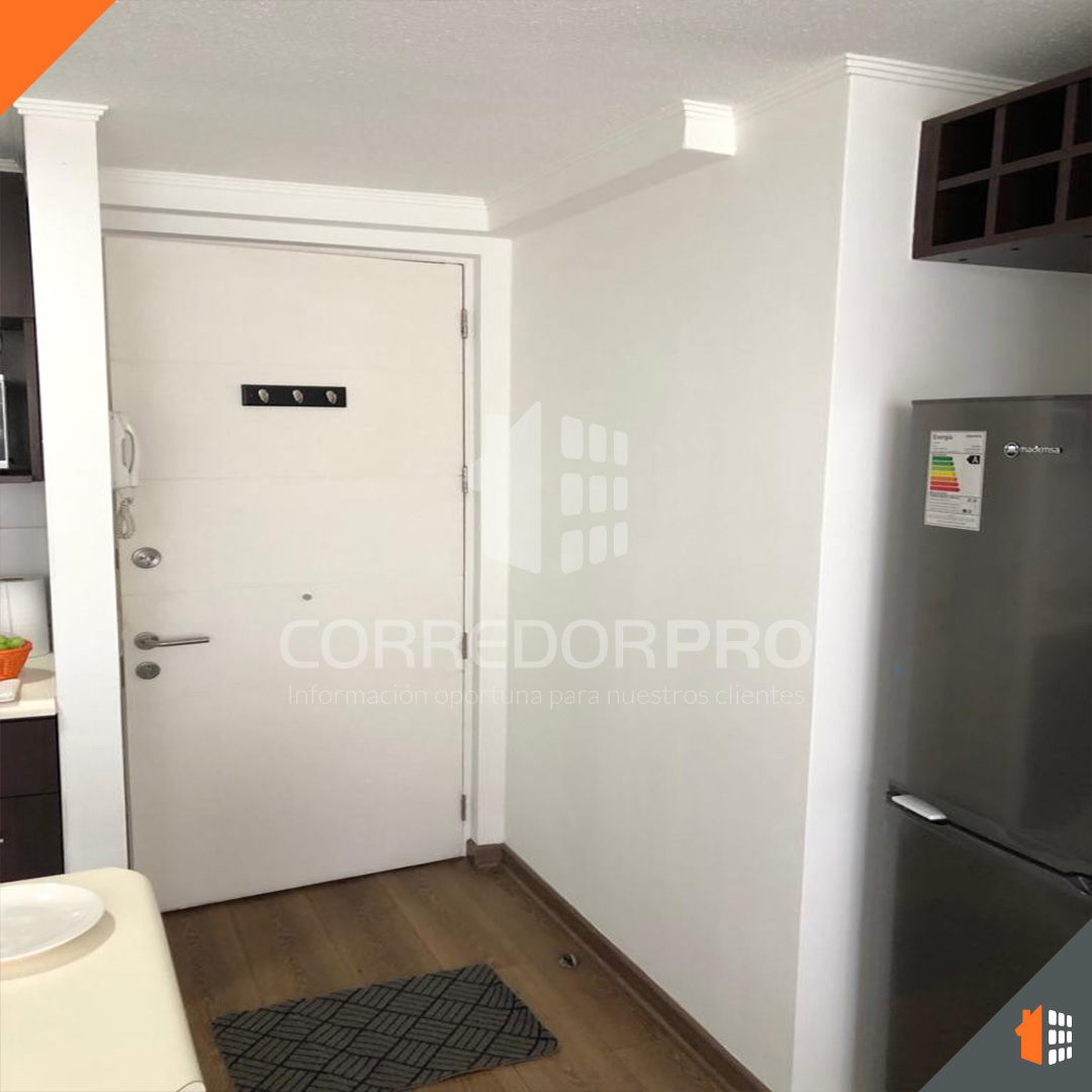 Santiago, Región Metropolitana, 1 Dormitorio Habitaciones, ,1 BañoBathrooms,Departamento,En Arriendo,2230