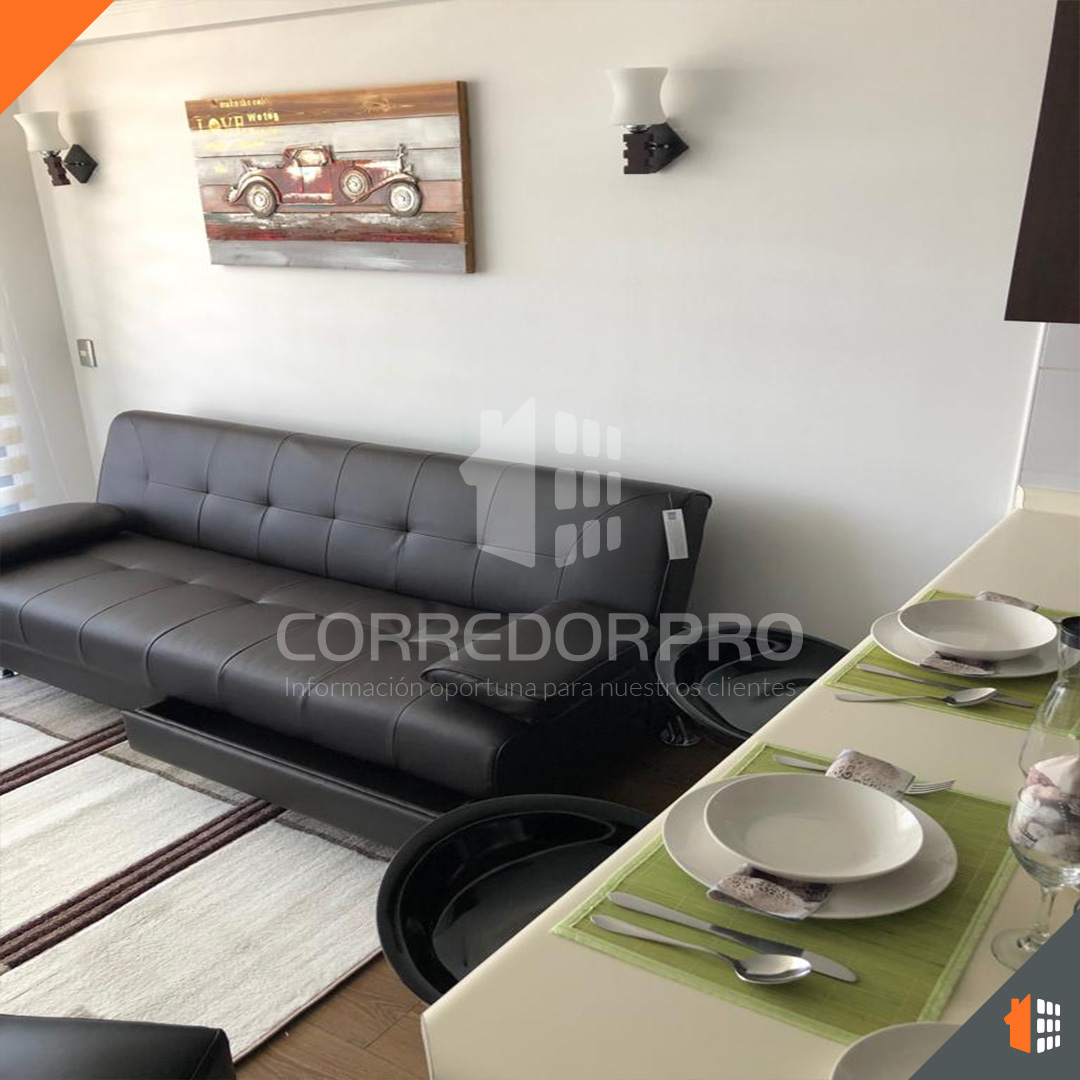 Santiago, Región Metropolitana, 1 Dormitorio Habitaciones, ,1 BañoBathrooms,Departamento,En Arriendo,2230