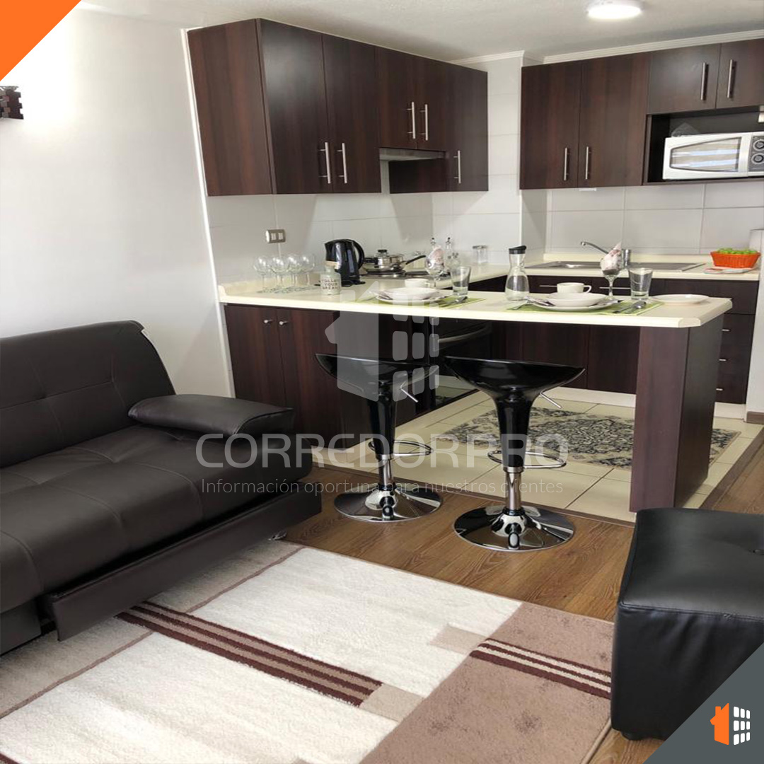 Santiago, Región Metropolitana, 1 Dormitorio Habitaciones, ,1 BañoBathrooms,Departamento,En Arriendo,2230