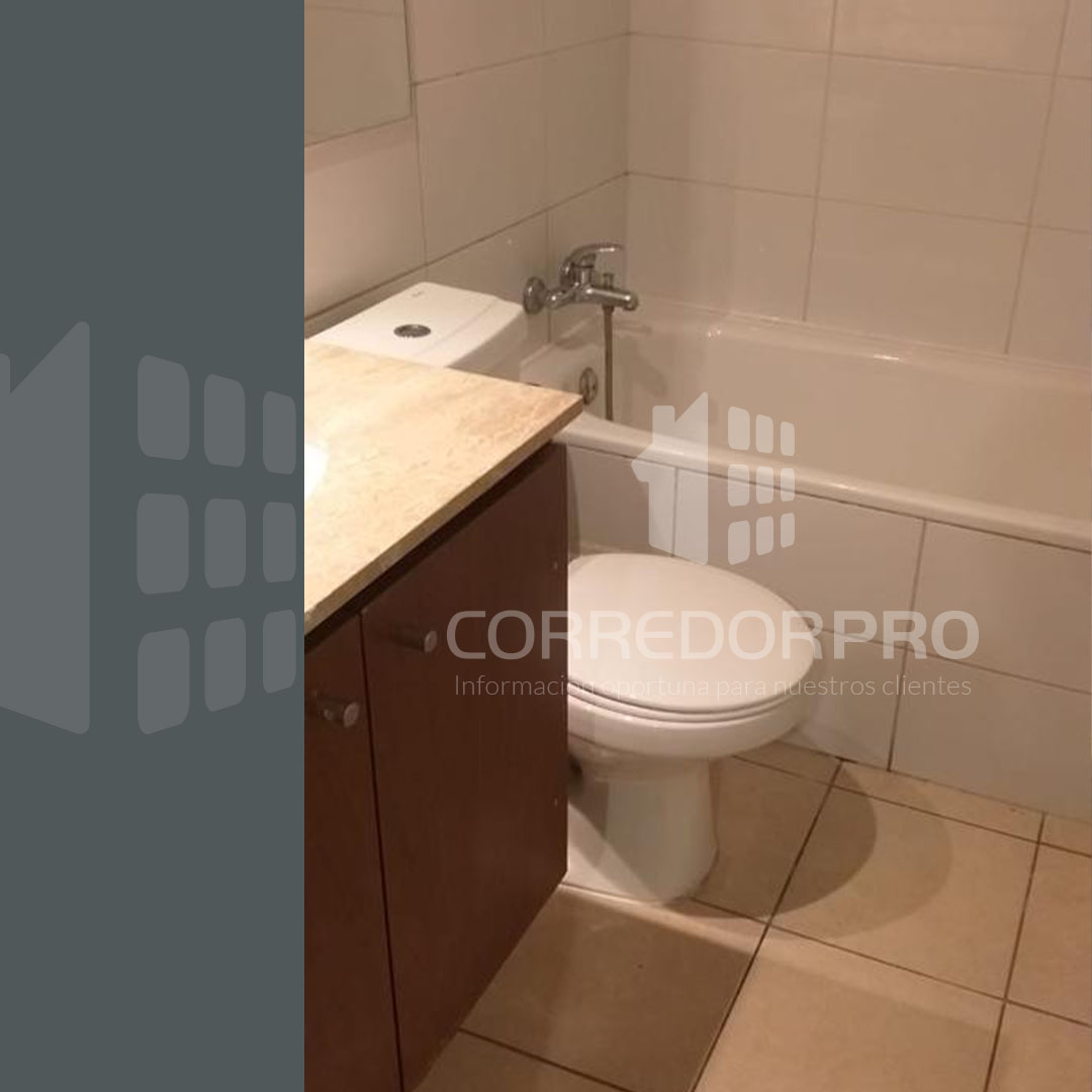 Santiago, Región Metropolitana, 1 Dormitorio Habitaciones, ,1 BañoBathrooms,Departamento,Vendida,2266