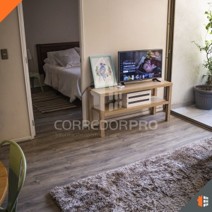 Santiago, Región Metropolitana, 1 Dormitorio Habitaciones, ,1 BañoBathrooms,Departamento,En Venta,2275