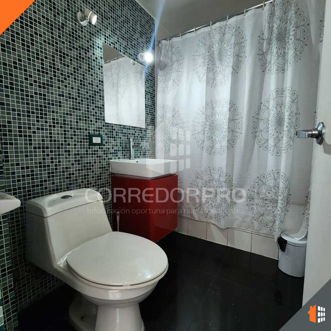 Santiago, Región Metropolitana, 1 Dormitorio Habitaciones, ,1 BañoBathrooms,Departamento,Arrendada,2294