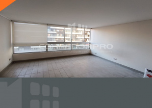 Santiago, Región Metropolitana, 1 Dormitorio Habitaciones, ,1 BañoBathrooms,Departamento,En Arriendo,2310