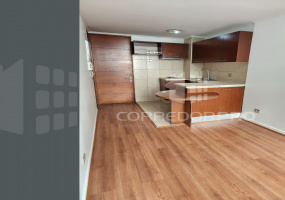 Santiago, Región Metropolitana, 1 Dormitorio Habitaciones, ,1 BañoBathrooms,Departamento,En Venta,2313