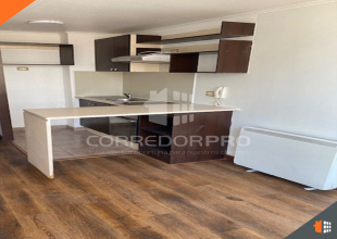 Santiago, Región Metropolitana, 1 Dormitorio Habitaciones, ,1 BañoBathrooms,Departamento,En Venta,2316