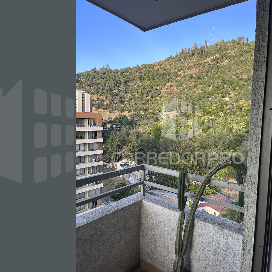 Recoleta, Región Metropolitana, 1 Dormitorio Habitaciones, ,1 BañoBathrooms,Departamento,En Venta,2423