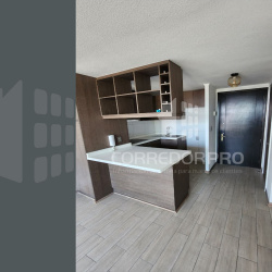 ñuñoa, Región Metropolitana, 2 Habitaciones Habitaciones, ,1 BañoBathrooms,Departamento,En Venta,2472