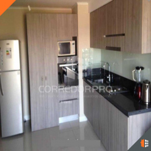 Santiago, Región Metropolitana, 1 Dormitorio Habitaciones, ,1 BañoBathrooms,Departamento,En Venta,1164