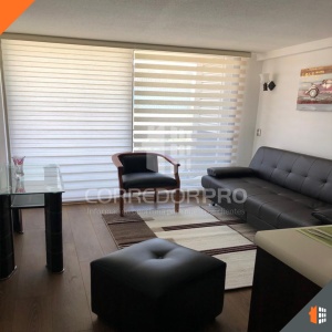 Santiago, Región Metropolitana, 1 Dormitorio Habitaciones, ,1 BañoBathrooms,Departamento,En Venta,1173