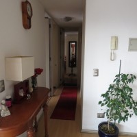 Address not available!, 3 Habitaciones Habitaciones, ,2 BathroomsBathrooms,Departamento,Vendida,1339