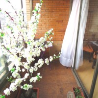 Address not available!, 3 Habitaciones Habitaciones, ,2 BathroomsBathrooms,Departamento,Vendida,1339