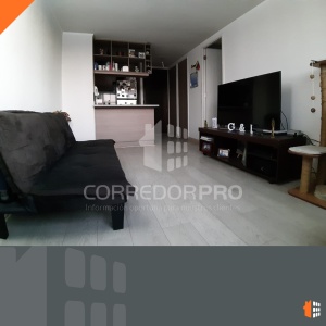 Santiago, Región Metropolitana, 1 Dormitorio Habitaciones, ,1 BañoBathrooms,Departamento,En Venta,1520