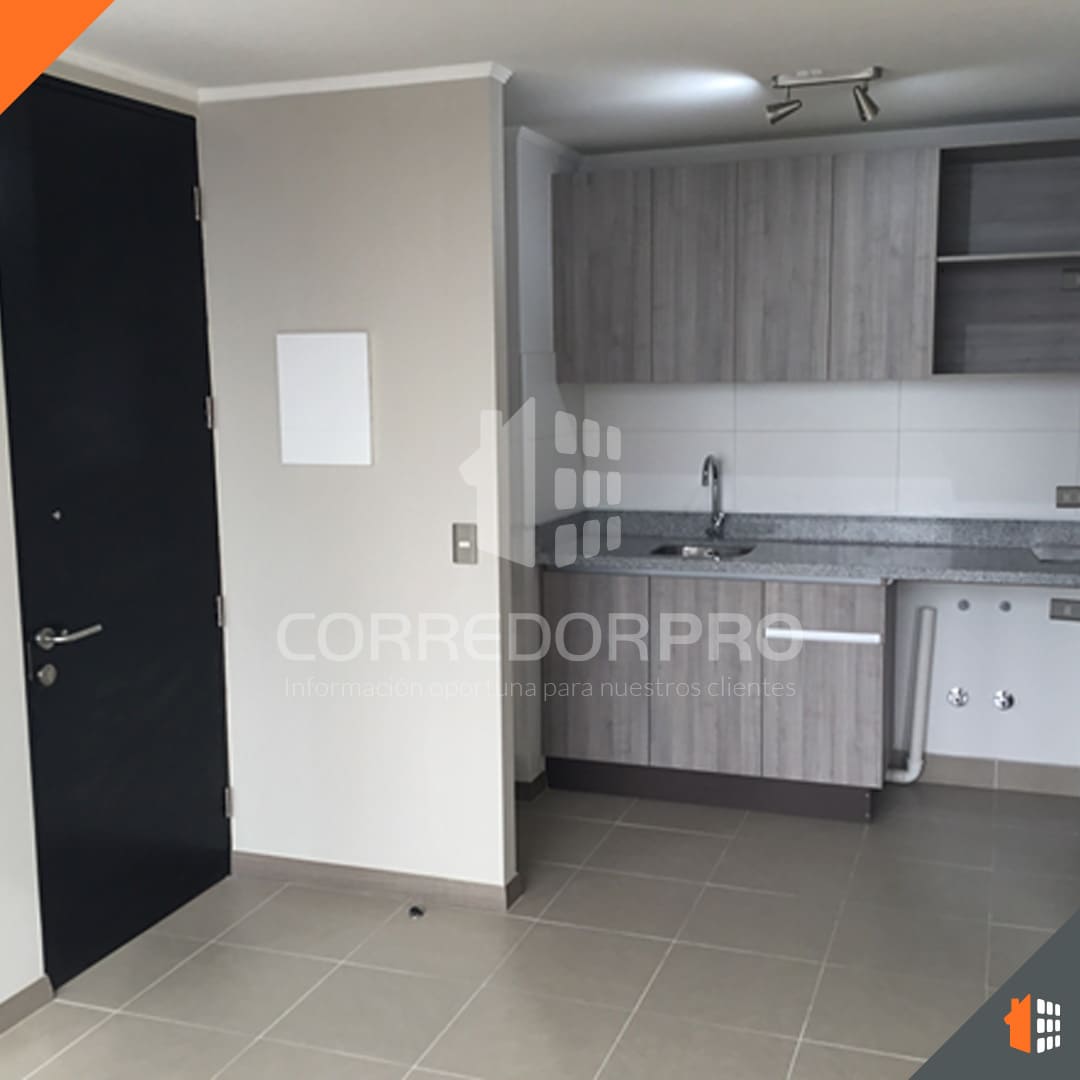 Santiago, Región Metropolitana, 1 Dormitorio Habitaciones, ,1 BañoBathrooms,Departamento,En Venta,1635